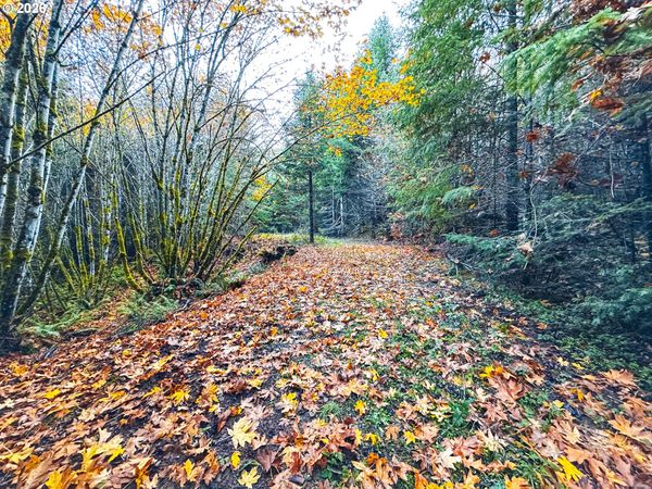 La Duke RD, Unit TL105, Westfir, OR 97492