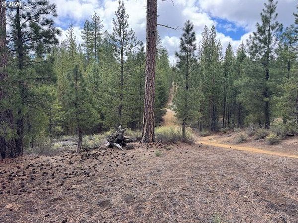 Schoonover 8, Unit 2900, Crescent, OR 97733