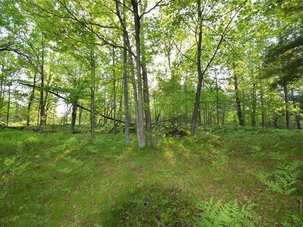 Lot 19 Aspen Hill Trailway, Webster, WI 54893