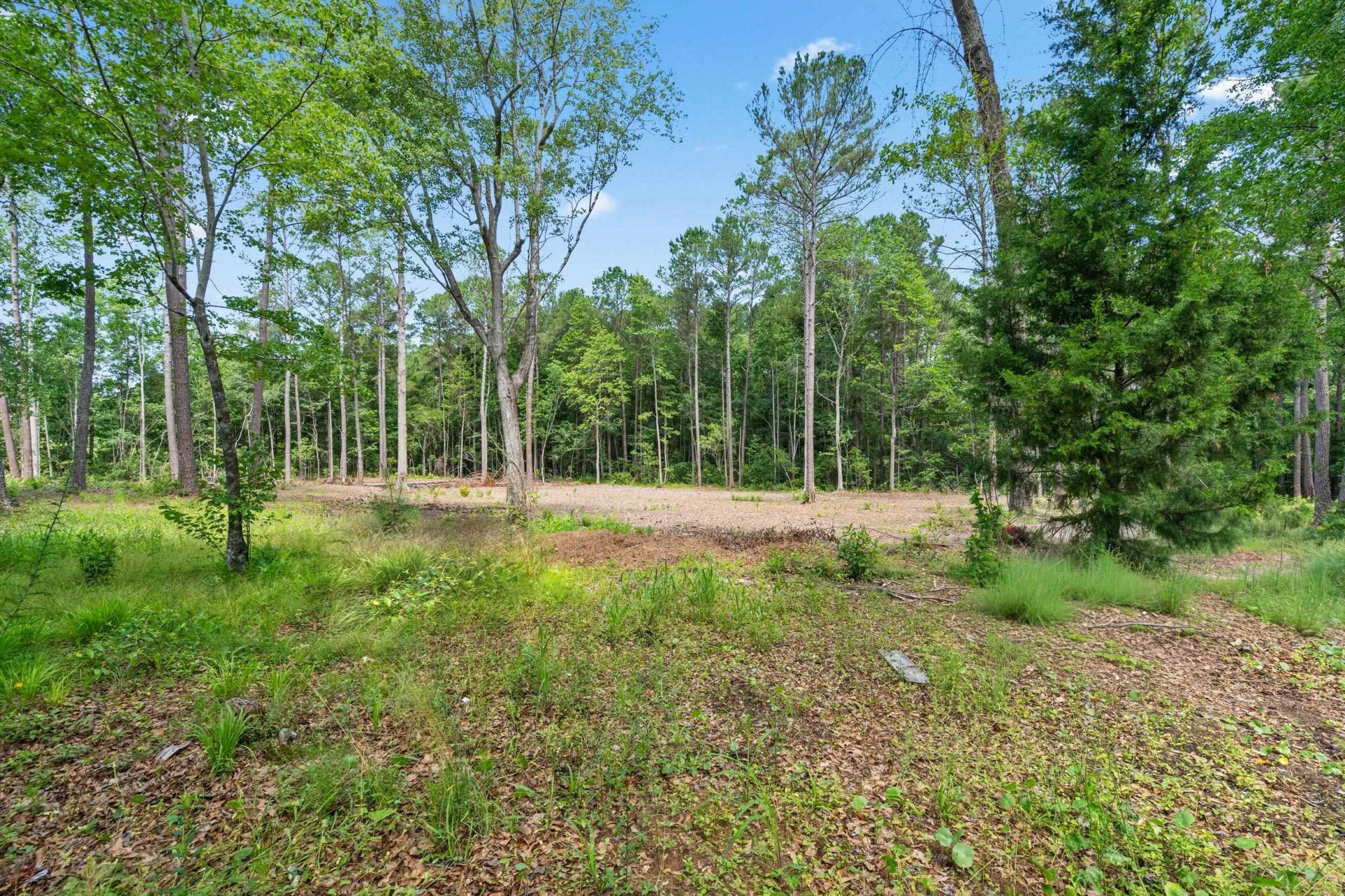 3695 Highway 905  Photo 40