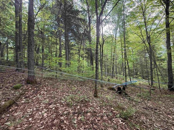 00 Fuller Road, Newbury, VT 05051