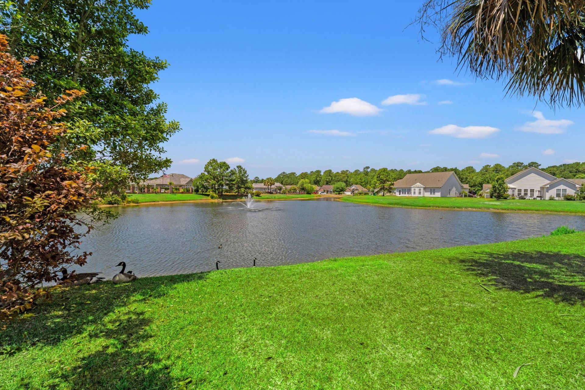 215 Kessinger Dr.  Photo 24