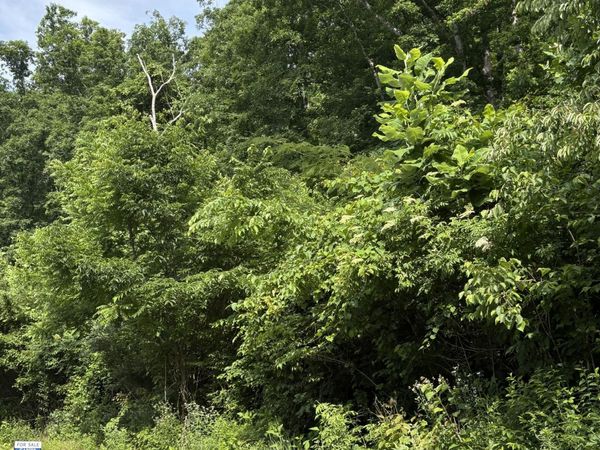 5787 Highway 297, Pioneer, TN 37847
