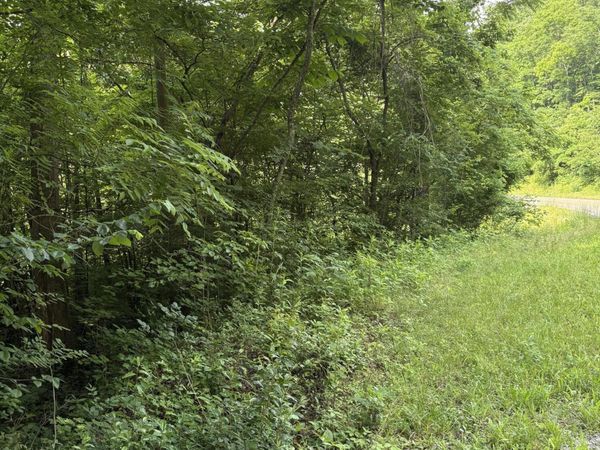 5787 Highway 297, Pioneer, TN 37847