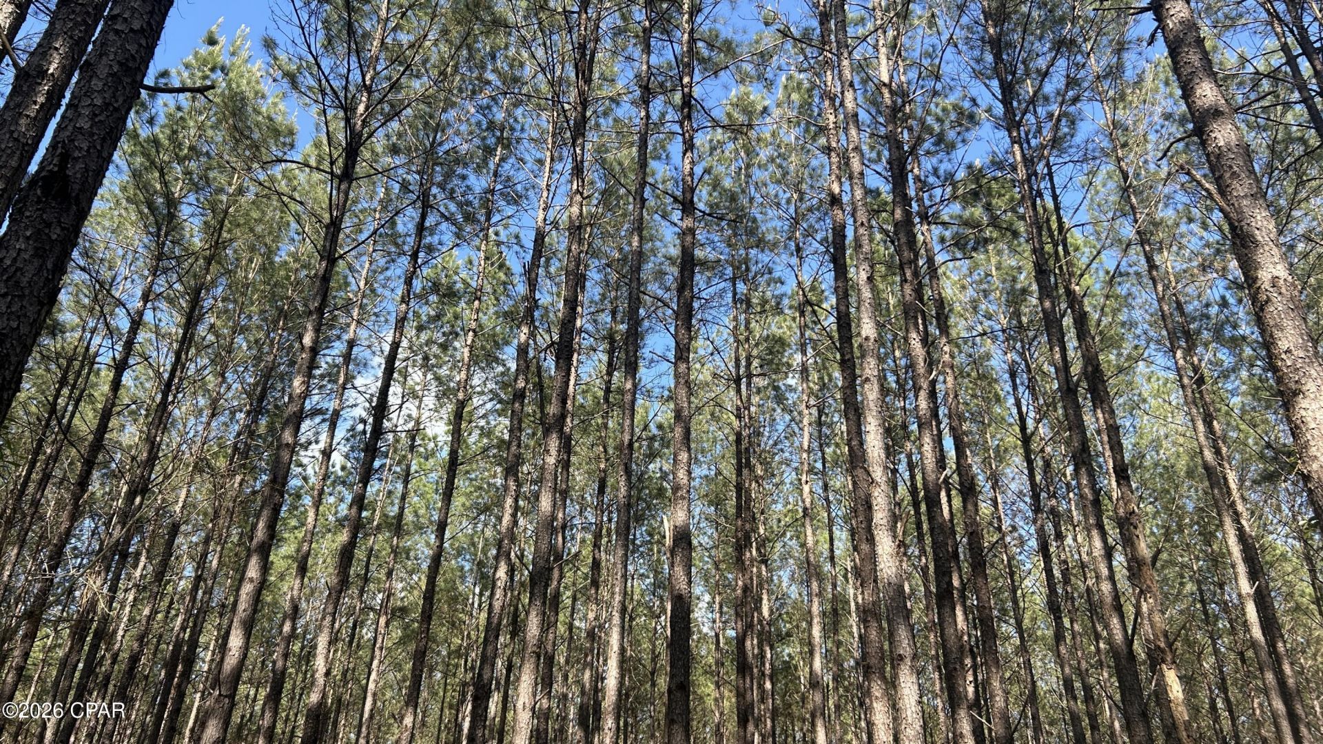T Grimes Grimes Road , Laurel Hill, FL 32567 Main Photo