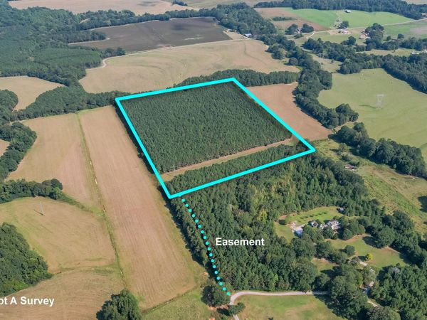 Sartain Road, Dennis, MS 38838
