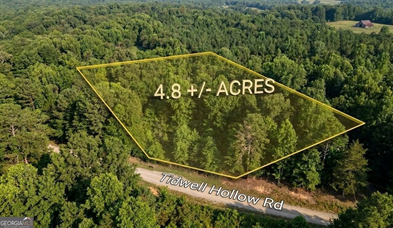 0 Tidwell Hollow, Lot #TRACT A, Oneonta, AL 35121 Main Photo