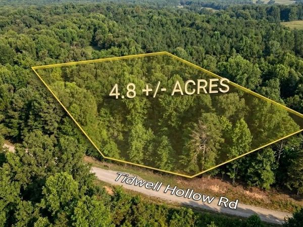 0 Tidwell Hollow, Unit TRACT A, Oneonta, AL 35121