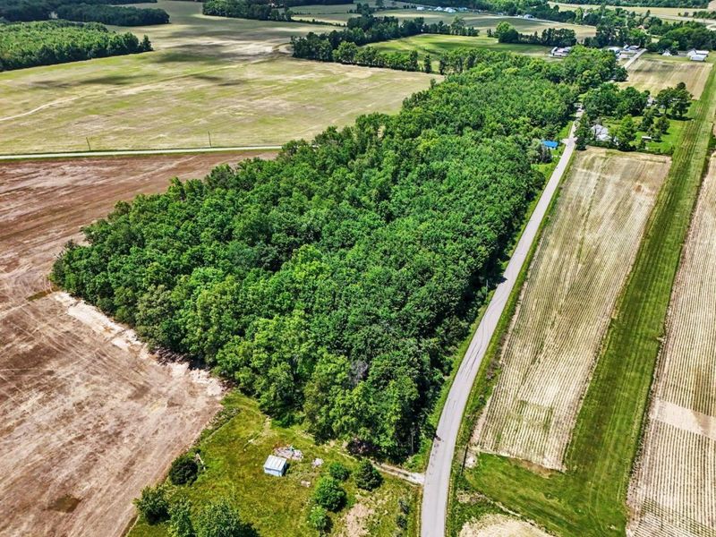 AC Martin Alexander Road, Eagle Twp, OH 45171 Photo 12