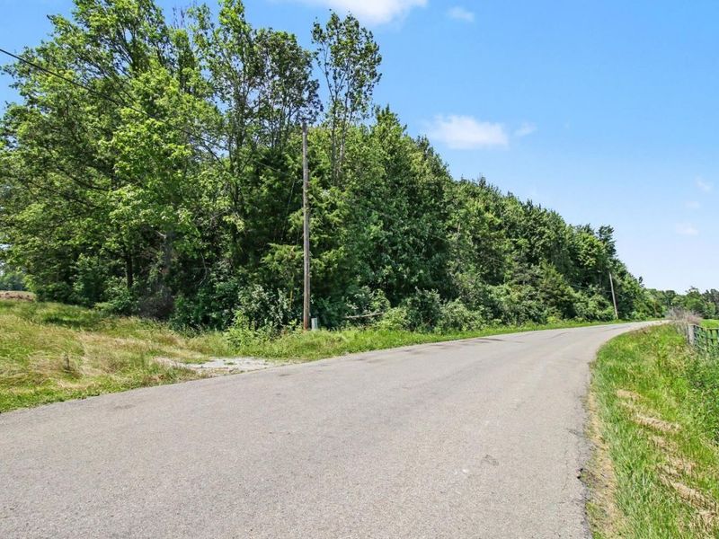 AC Martin Alexander Road, Eagle Twp, OH 45171 Photo 5