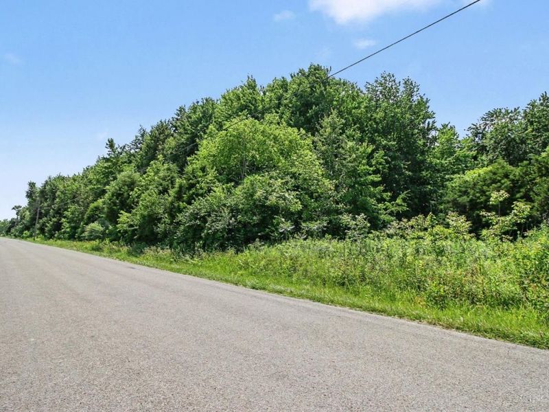 AC Martin Alexander Road, Eagle Twp, OH 45171 Photo 7