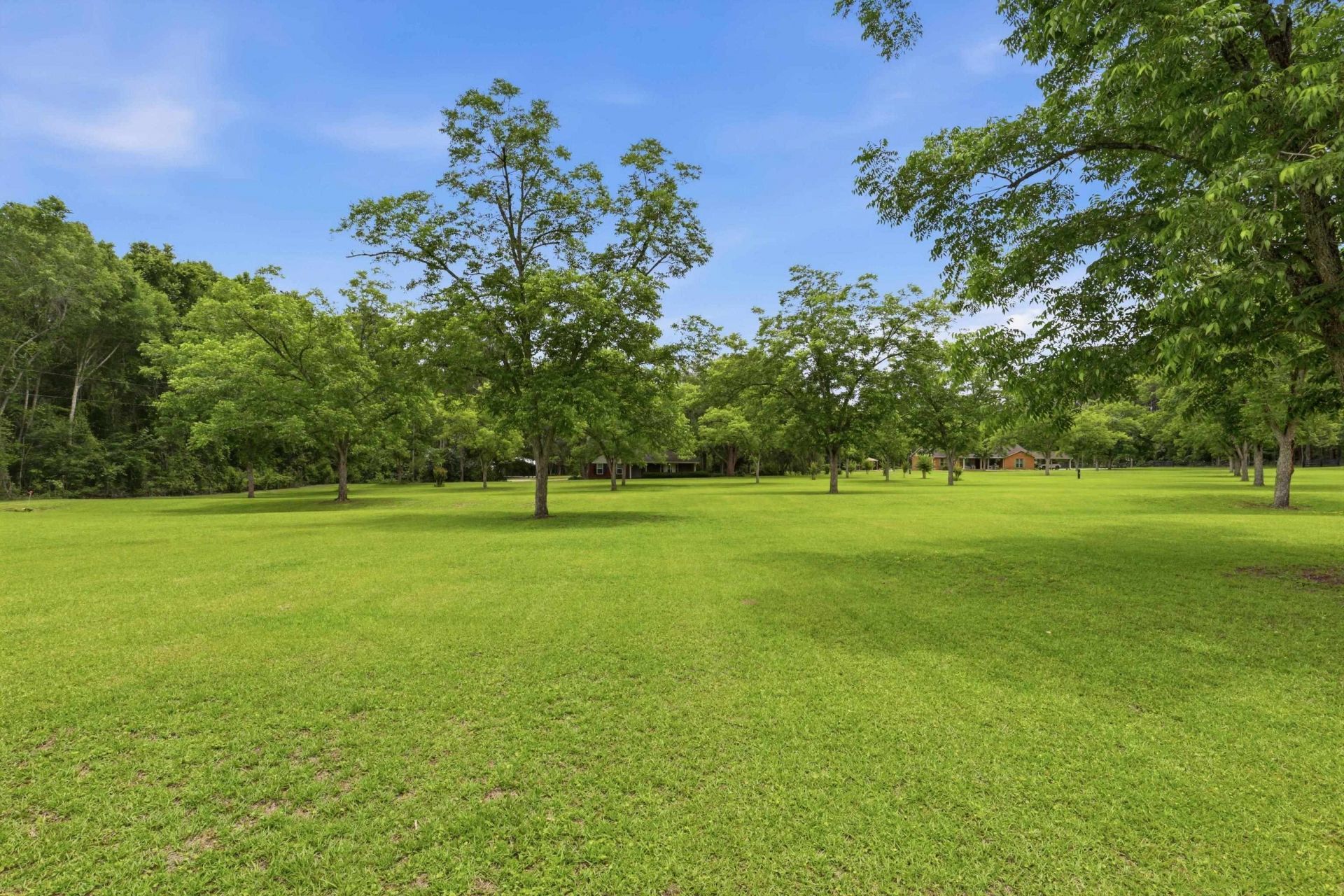 3906 Concord Road, Havana, FL 32333 Photo