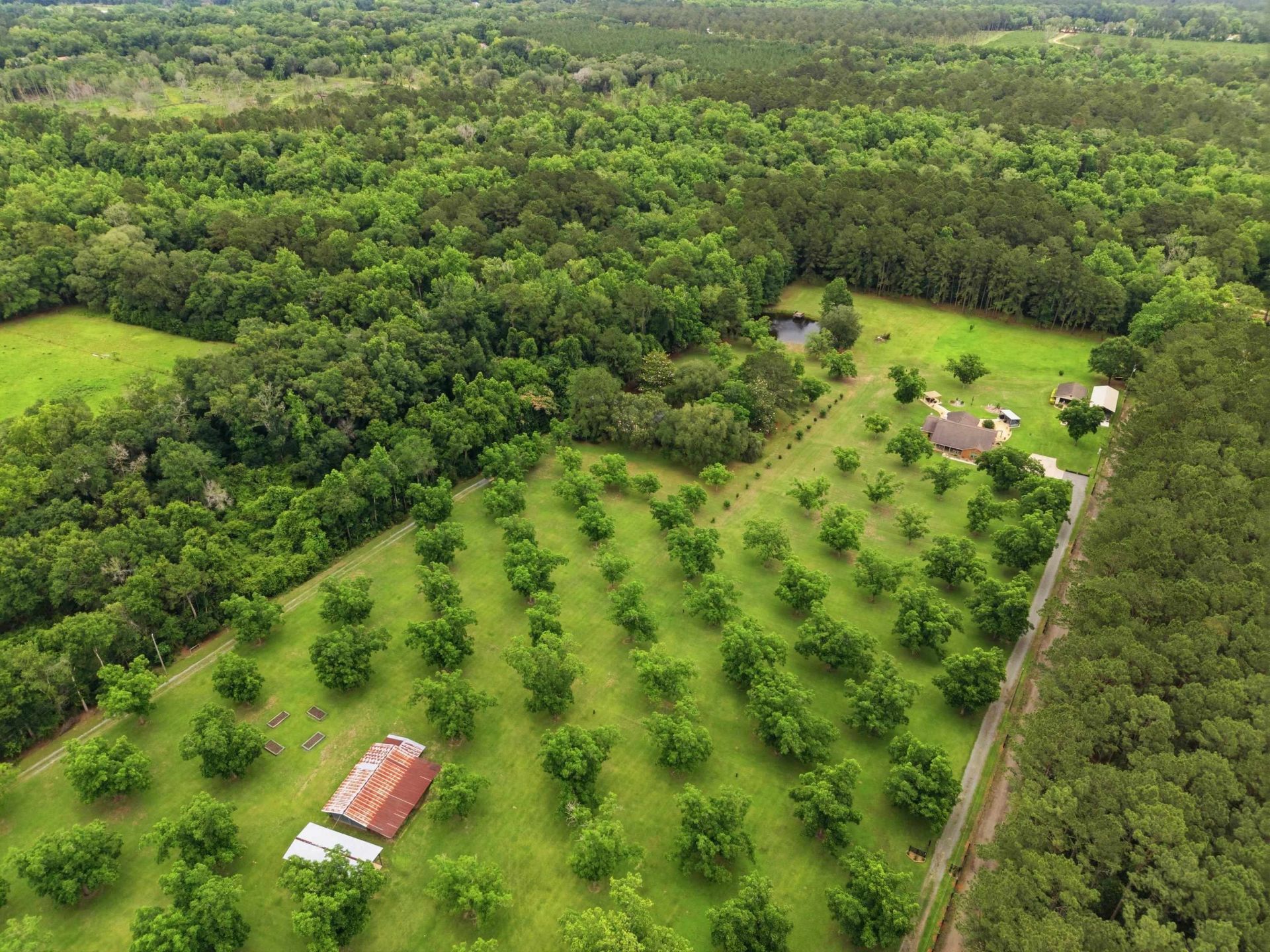 3906 Concord Road, Havana, FL 32333 Photo