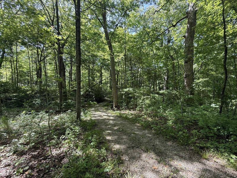 5392 Enon Xenia Road, Fairborn, OH 45324 Photo 84