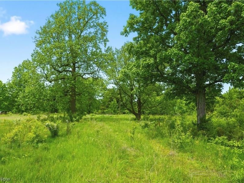 3133 Greenwich Road, Wadsworth, OH 44281 Photo 2