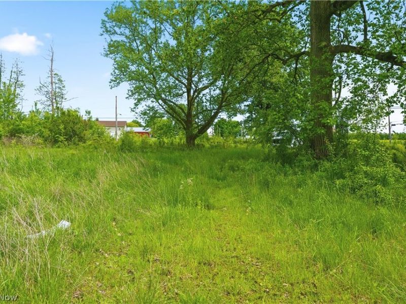 3133 Greenwich Road, Wadsworth, OH 44281 Photo 7
