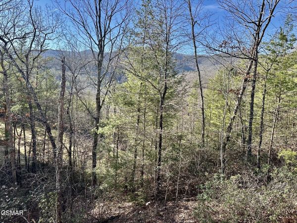 1306 Morning Dove Way, Sevierville, TN 37862