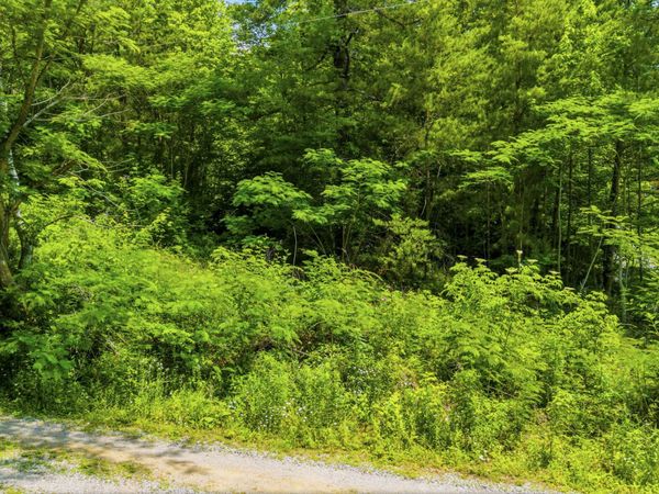 00 Boomer Way, Cosby, TN 37722