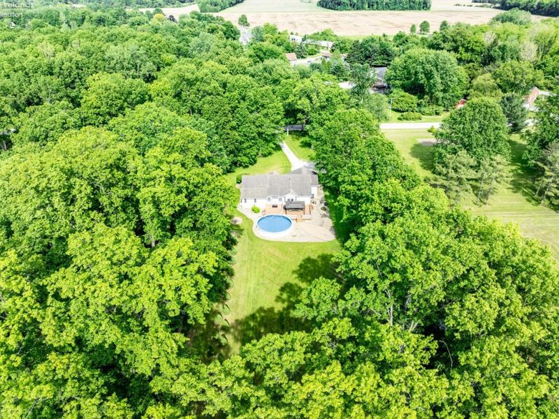 8503 Risden Road, Vermilion, OH 44089 Photo 37