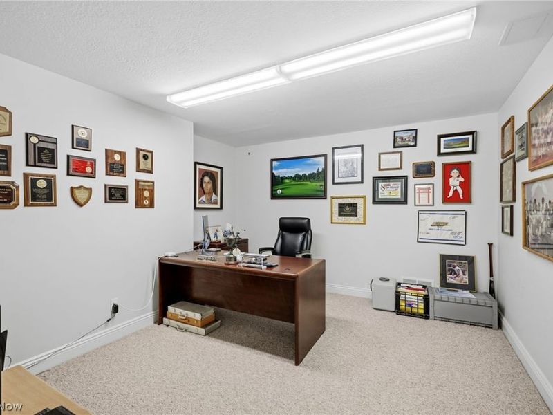 427 Diana Court, Highland Heights, OH 44143 Photo 40
