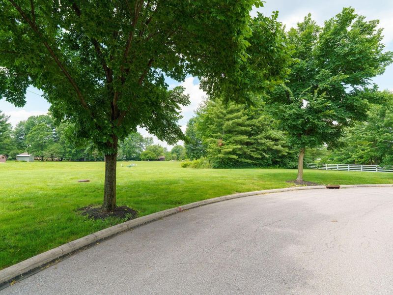 6955 Bulrush Court , New Albany, OH 43054 Photo 5
