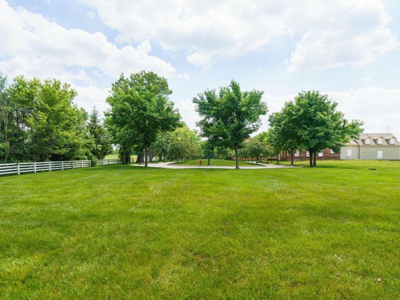 6955 Bulrush Court , New Albany, OH 43054 Photo 7
