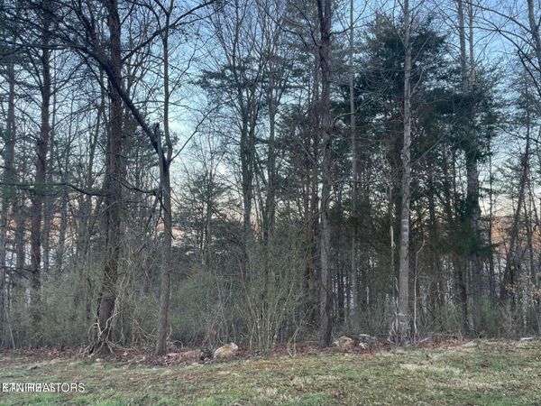 lot 14 Hiwassee Drive, Jacksboro, TN 37757