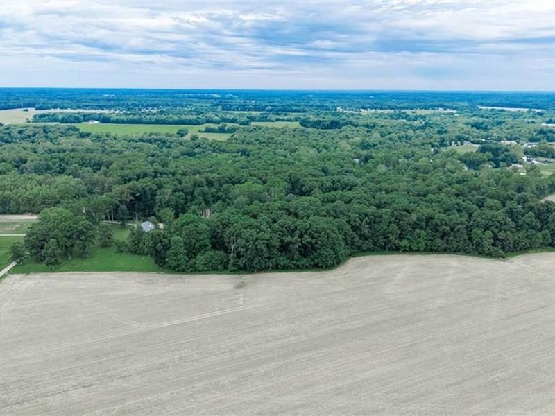 7794 Templin Road, Blanchester, OH 45107 Photo 60