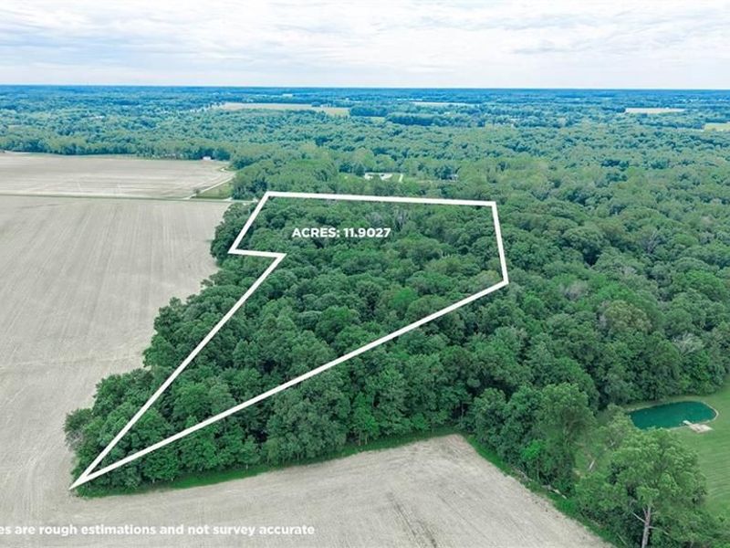 7794 Templin Road, Blanchester, OH 45107 Photo 61