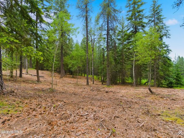 Parcel C S Dunlap Rd , Harrison, ID 83833