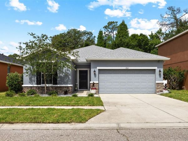 8515 TIDAL BREEZE DRIVE, RIVERVIEW, FL 33569