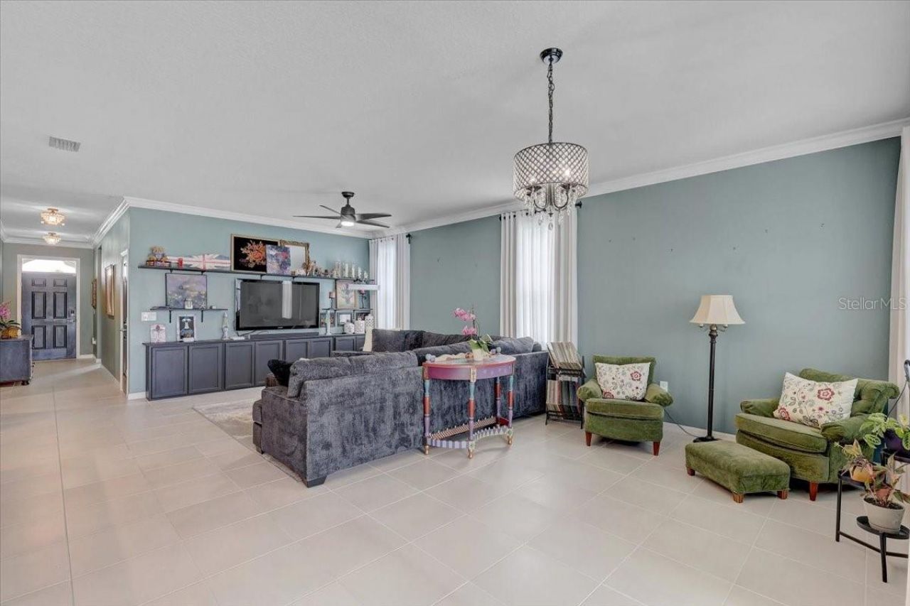 3921 Mossy Limb Court, Palmetto, FL 34221 Photo