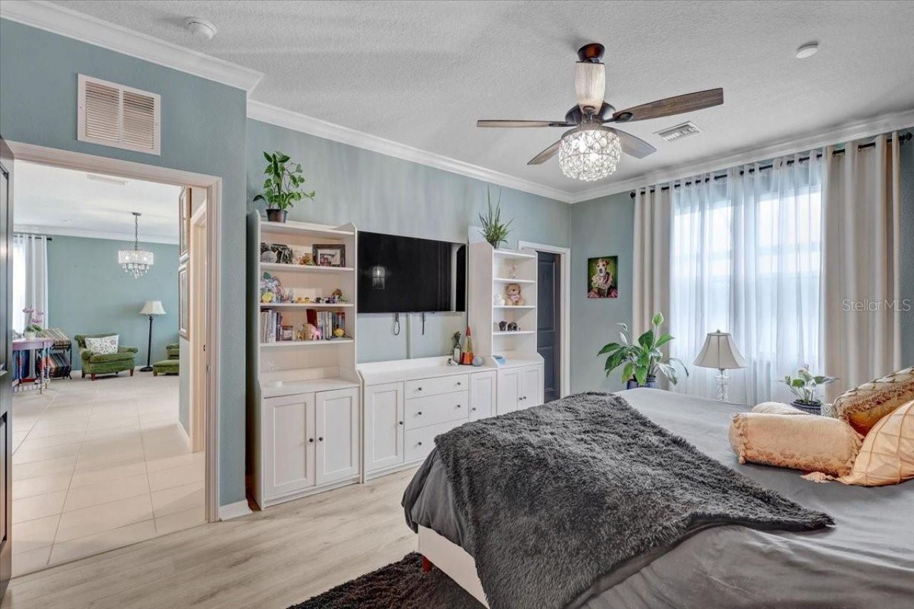 3921 Mossy Limb Court, Palmetto, FL 34221 Photo