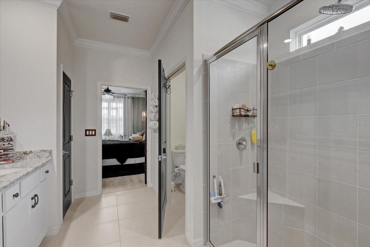 3921 Mossy Limb Court, Palmetto, FL 34221 Photo