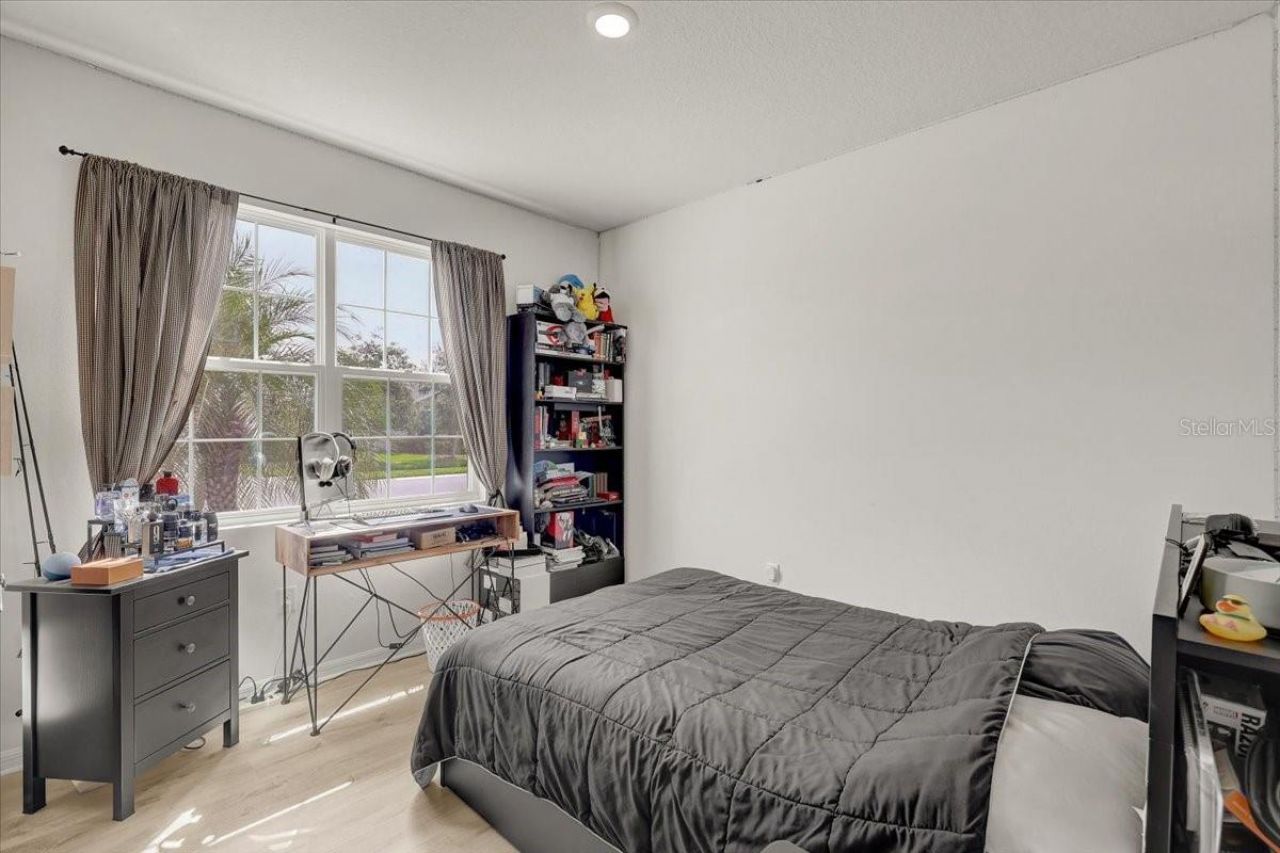3921 Mossy Limb Court, Palmetto, FL 34221 Photo