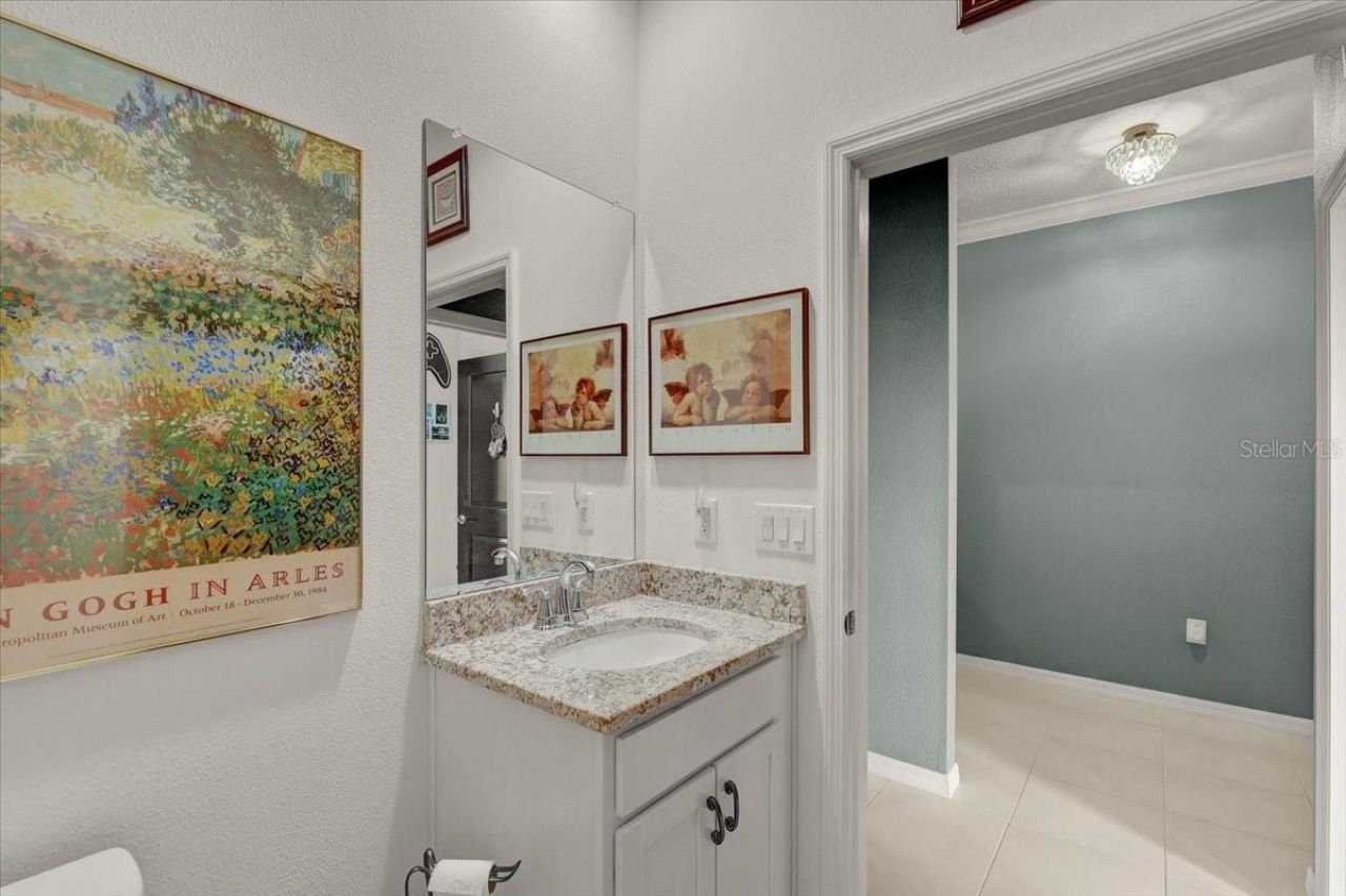 3921 Mossy Limb Court, Palmetto, FL 34221 Photo