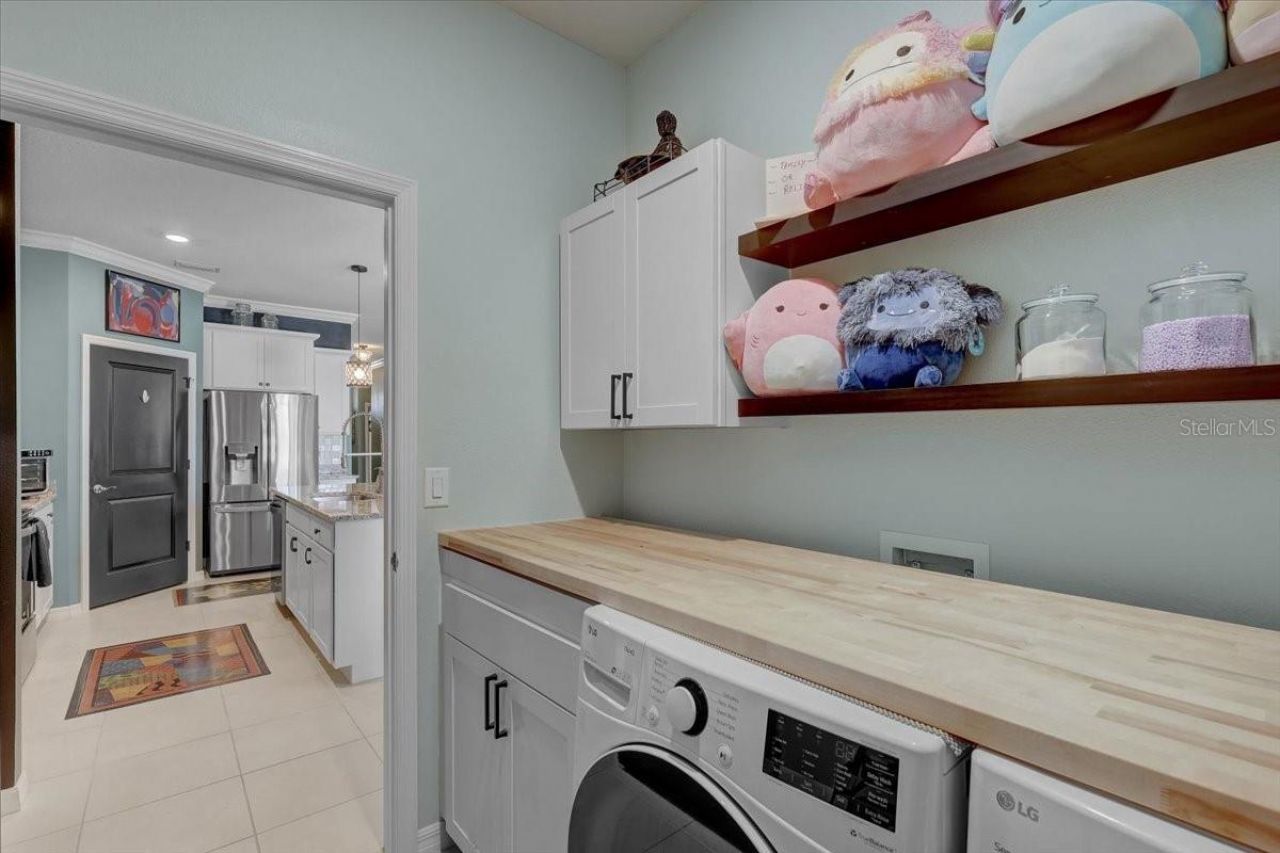 3921 Mossy Limb Court, Palmetto, FL 34221 Photo