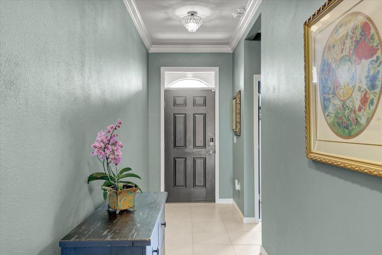 3921 Mossy Limb Court, Palmetto, FL 34221 Photo