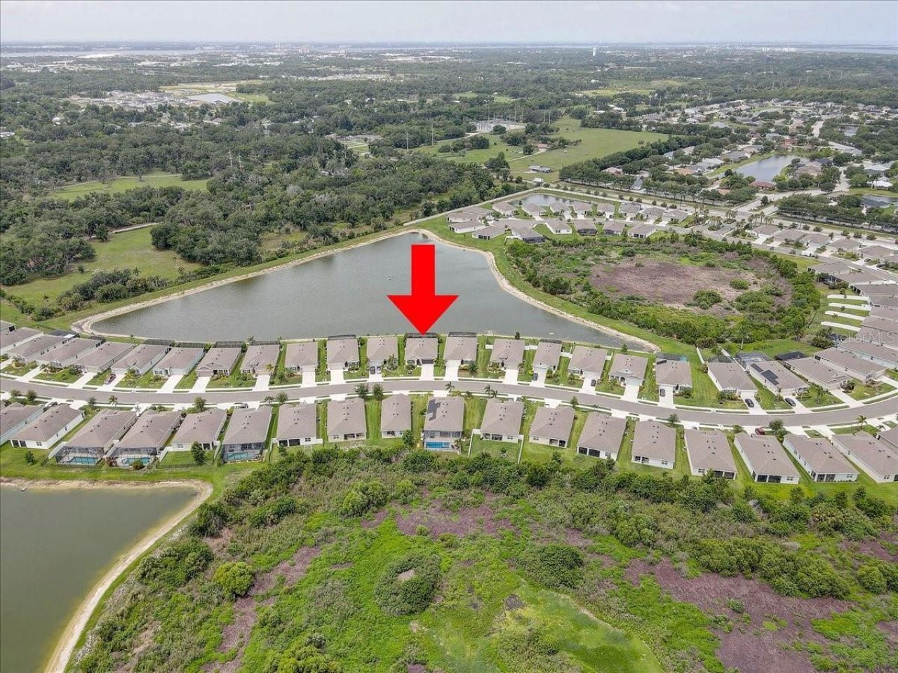 3921 Mossy Limb Court, Palmetto, FL 34221 Photo