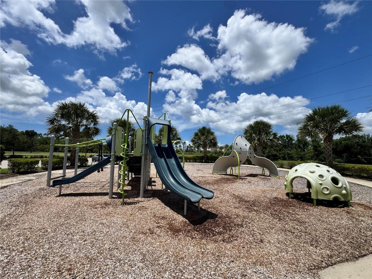 3921 Mossy Limb Court, Palmetto, FL 34221 Photo