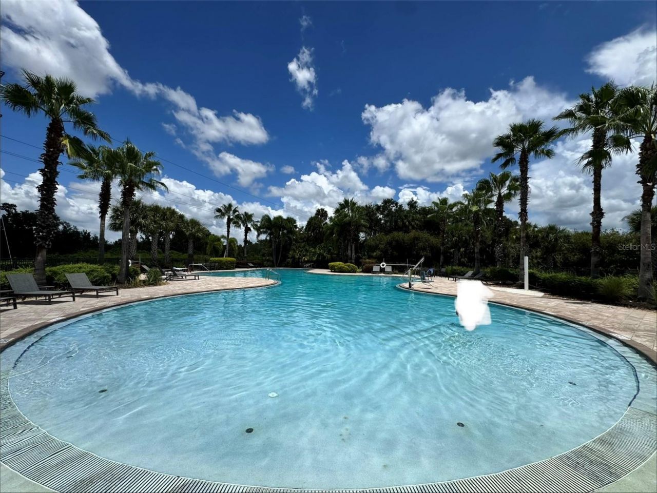 3921 Mossy Limb Court, Palmetto, FL 34221 Photo