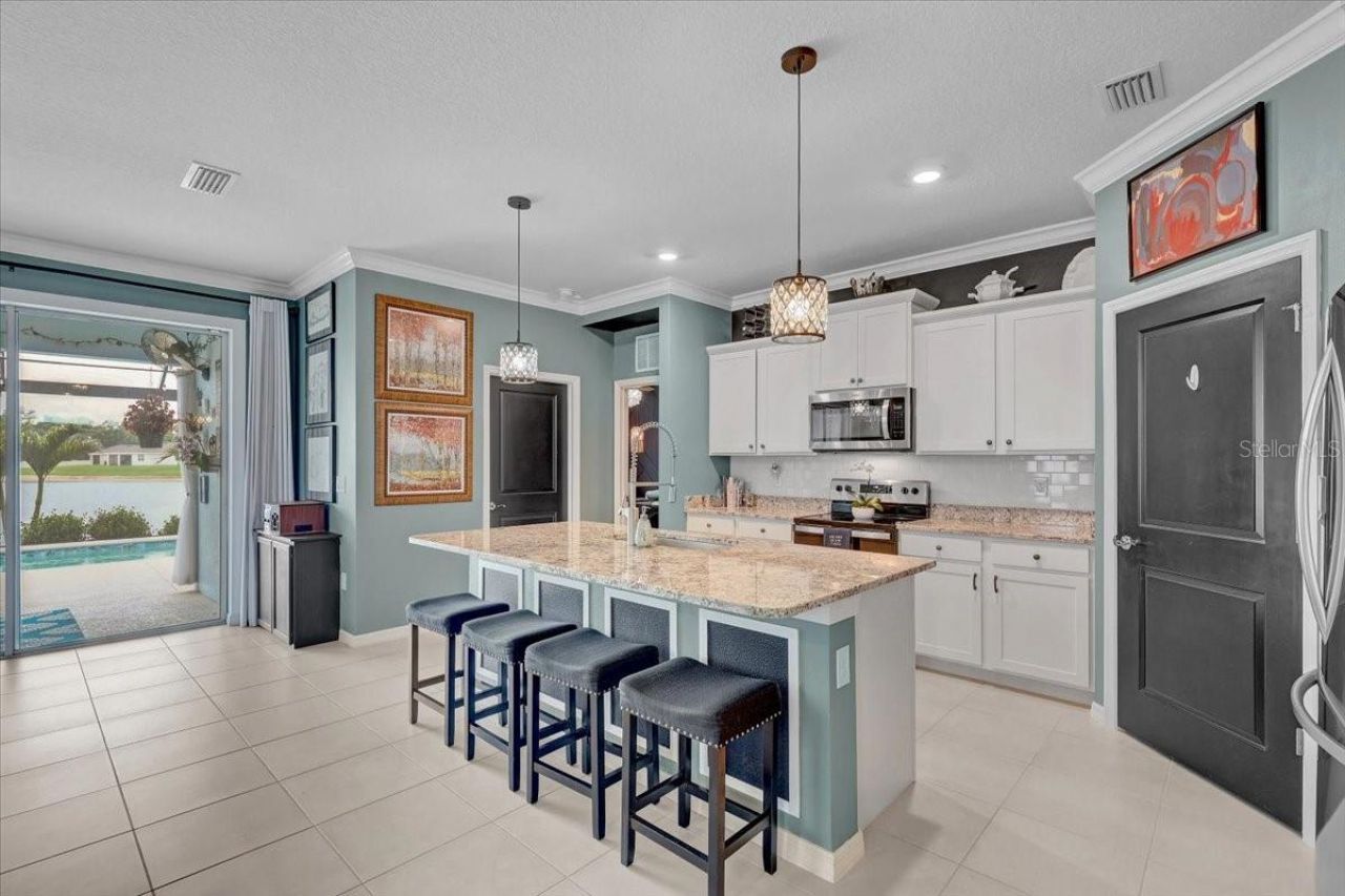 3921 Mossy Limb Court, Palmetto, FL 34221 Photo