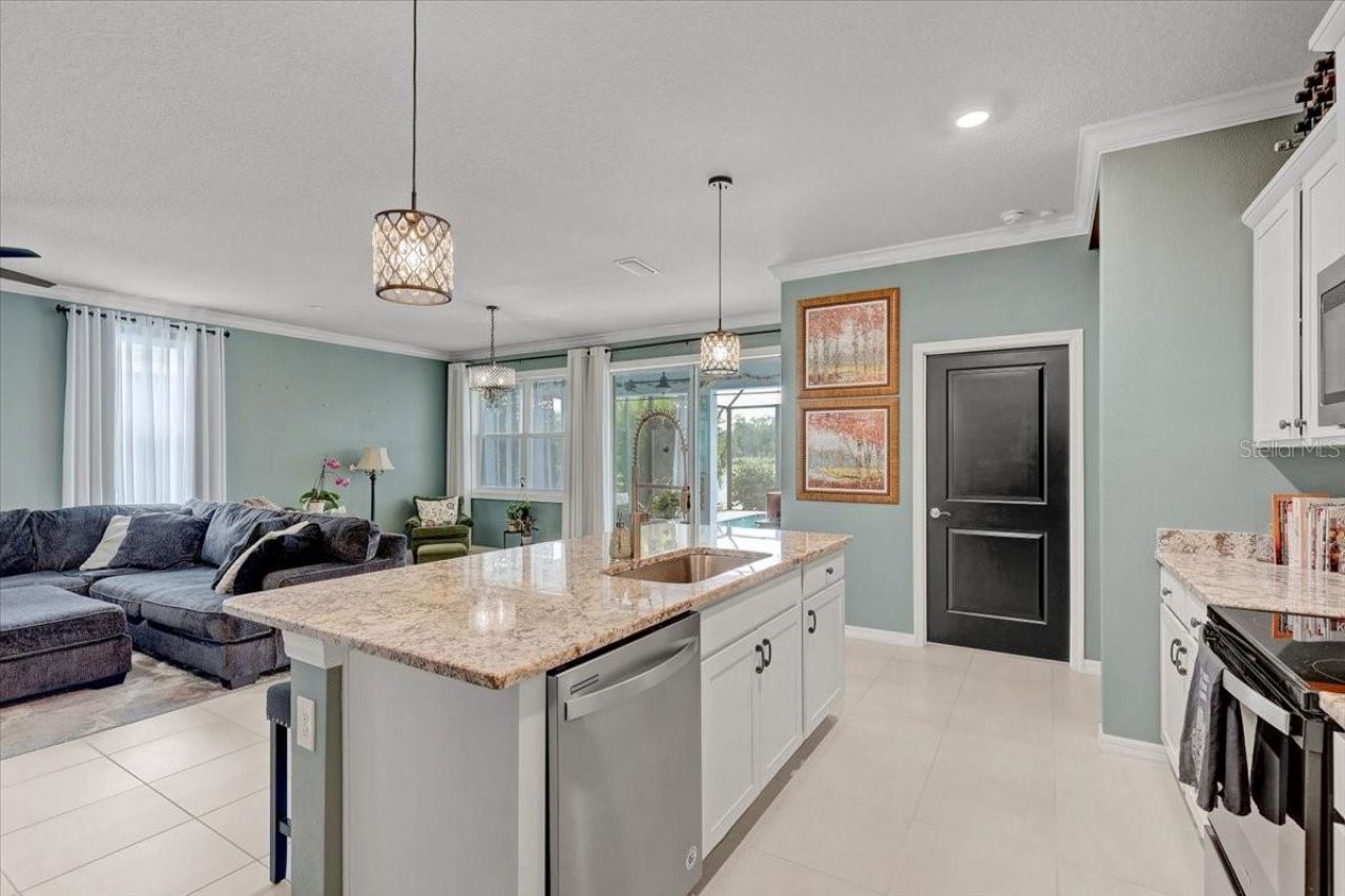 3921 Mossy Limb Court, Palmetto, FL 34221 Photo