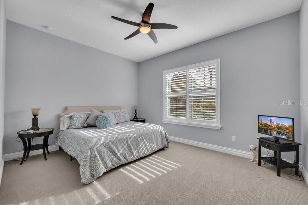 5201 Alafia Falls Drive, Lithia, FL 33547 Photo