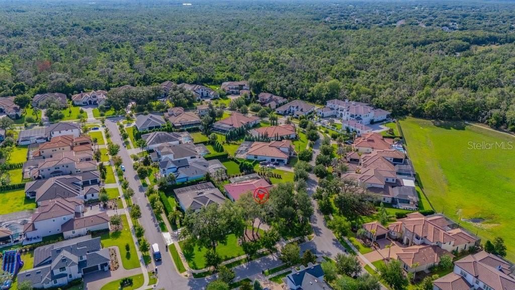 5201 Alafia Falls Drive, Lithia, FL 33547 Photo