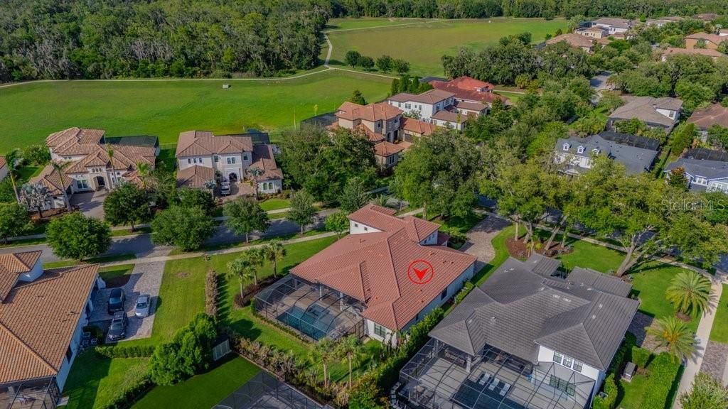 5201 Alafia Falls Drive, Lithia, FL 33547 Photo