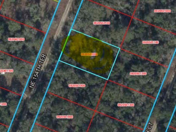 NE 154 TERRACE , WILLISTON, FL 32696