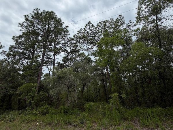 18011 NUTCRACKER ROAD , WEEKI WACHEE, FL 34614