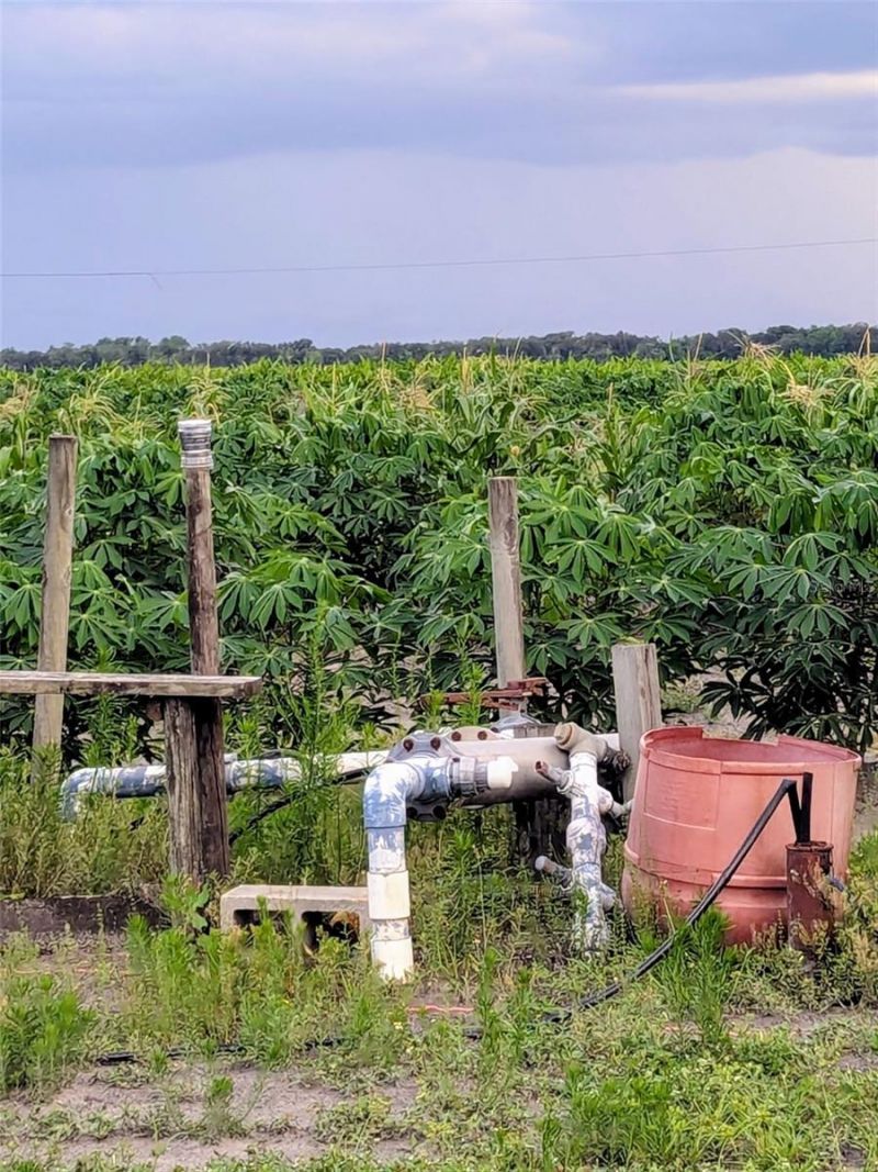 Tom Bryan Rd , Zolfo Springs, FL 33890 Photo