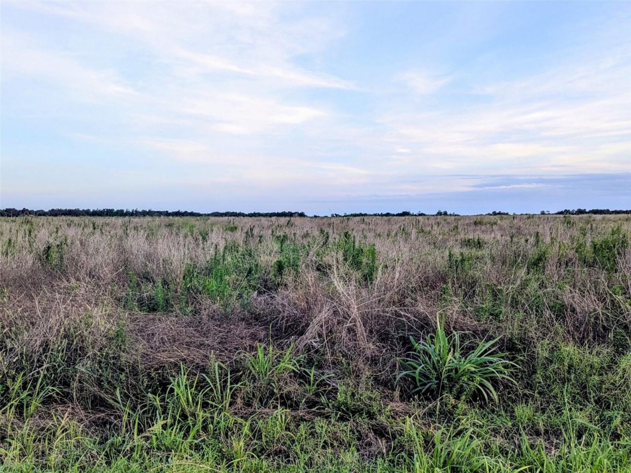 Tom Bryan Rd, Zolfo Springs, FL 33890 Photo